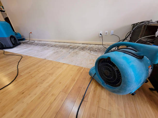 Professional Structural Drying technician working in Concrete, WA