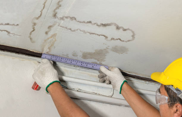Affordable Structural Drying solutions in Concrete, WA